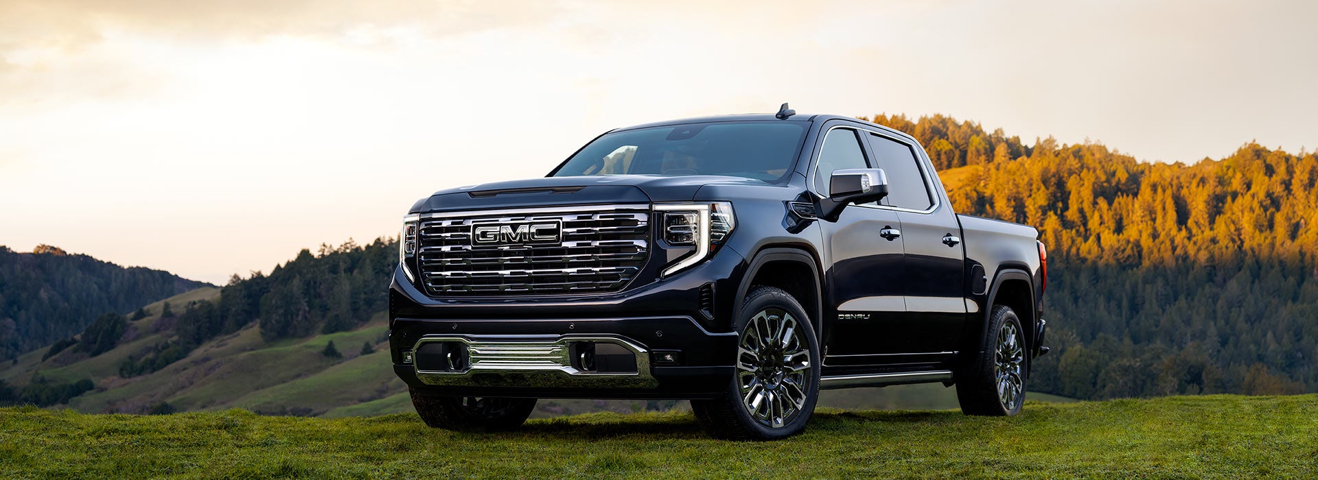 Billy Lawrence GMC in ABBEVILLE AL